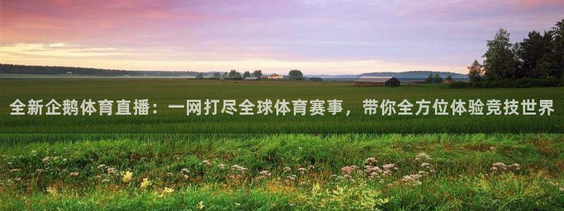 全新企鹅体育直播：一网打尽全球体育赛事，带你全方位体验竞技世界