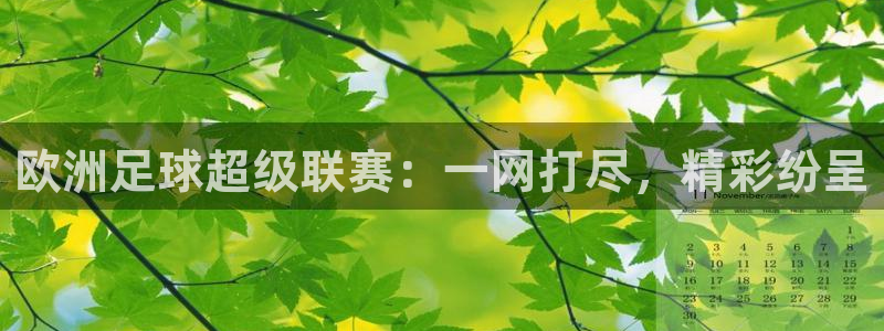 欧洲足球超级联赛：一网打尽，精彩纷呈