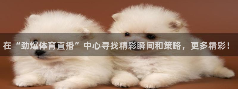 在“劲爆体育直播”中心寻找精彩瞬间和策略，更多精彩！