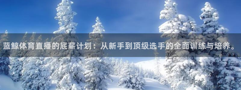 蓝鲸体育直播的底薪计划：从新手到顶级选手的全面训练与培养。