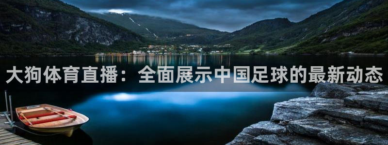大狗体育直播：全面展示中国足球的最新动态