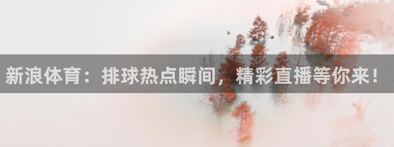 新浪体育：排球热点瞬间，精彩直播等你来！
