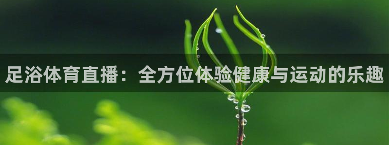 足浴体育直播：全方位体验健康与运动的乐趣